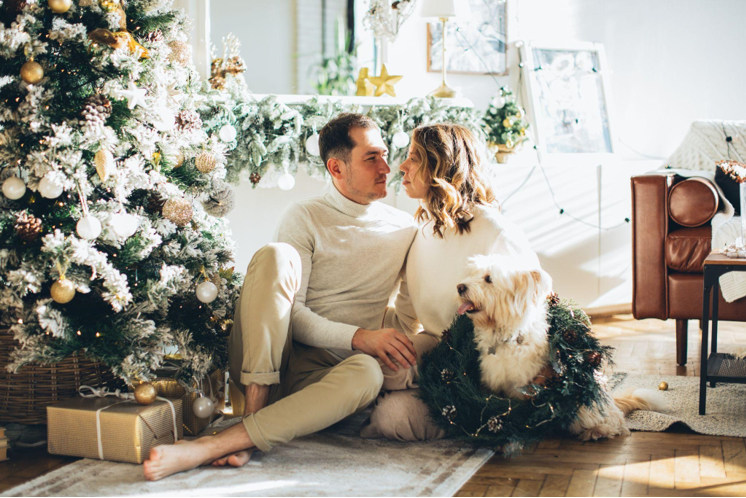 Cozy Up with Flocked Artificial Christmas Trees and Garlands