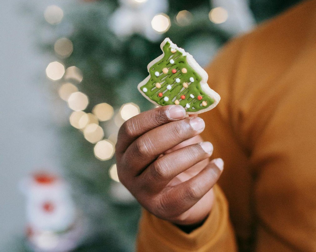 The Magic of Pre-Lit Christmas Trees